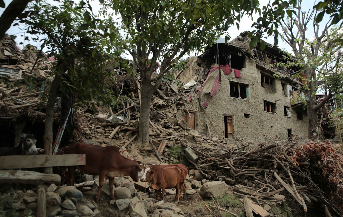 Już 1100 ofiar w Afganistanie. Talibowie proszą o pomoc