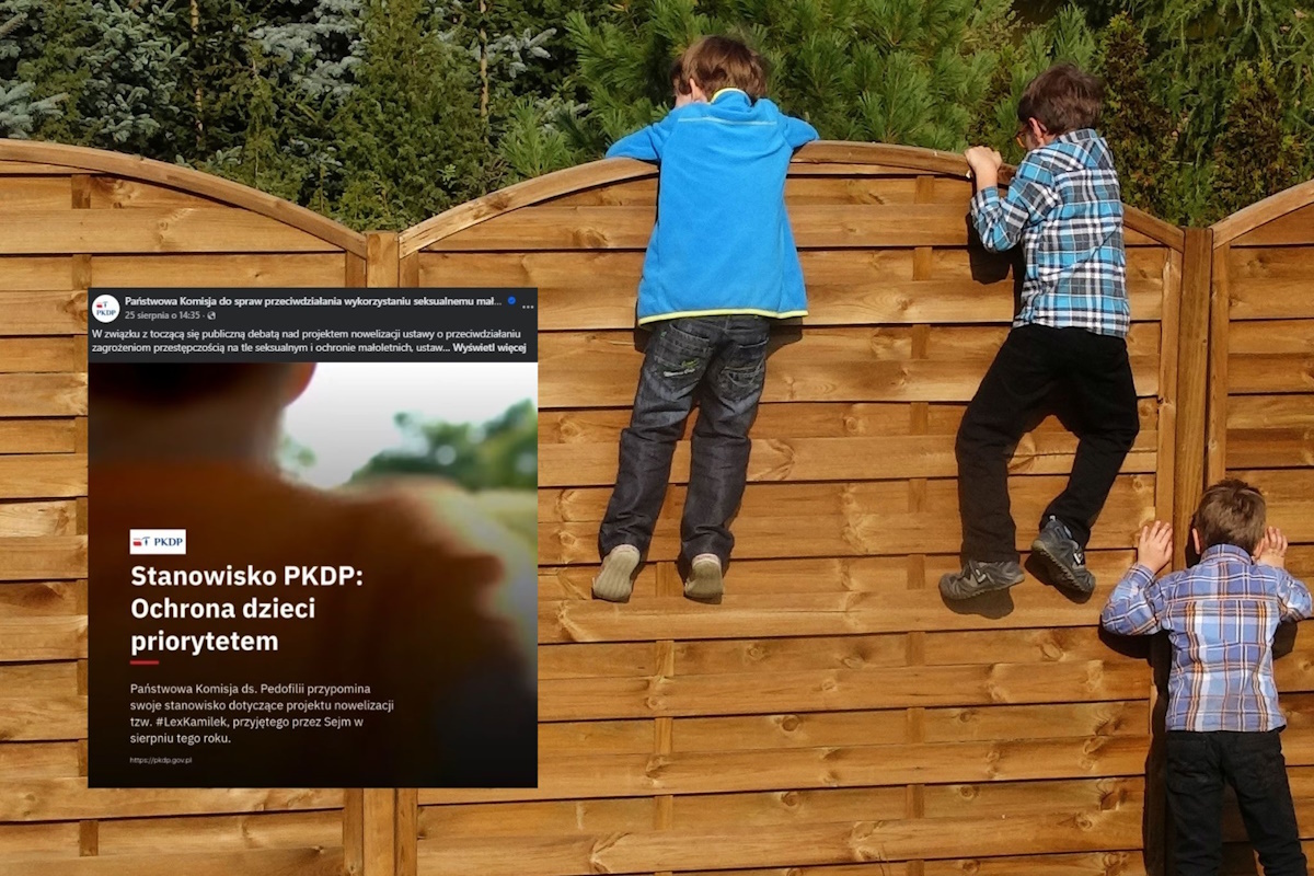 Państwowa komisja ds. pedofilii ws. noweli "Lex Kamilek"