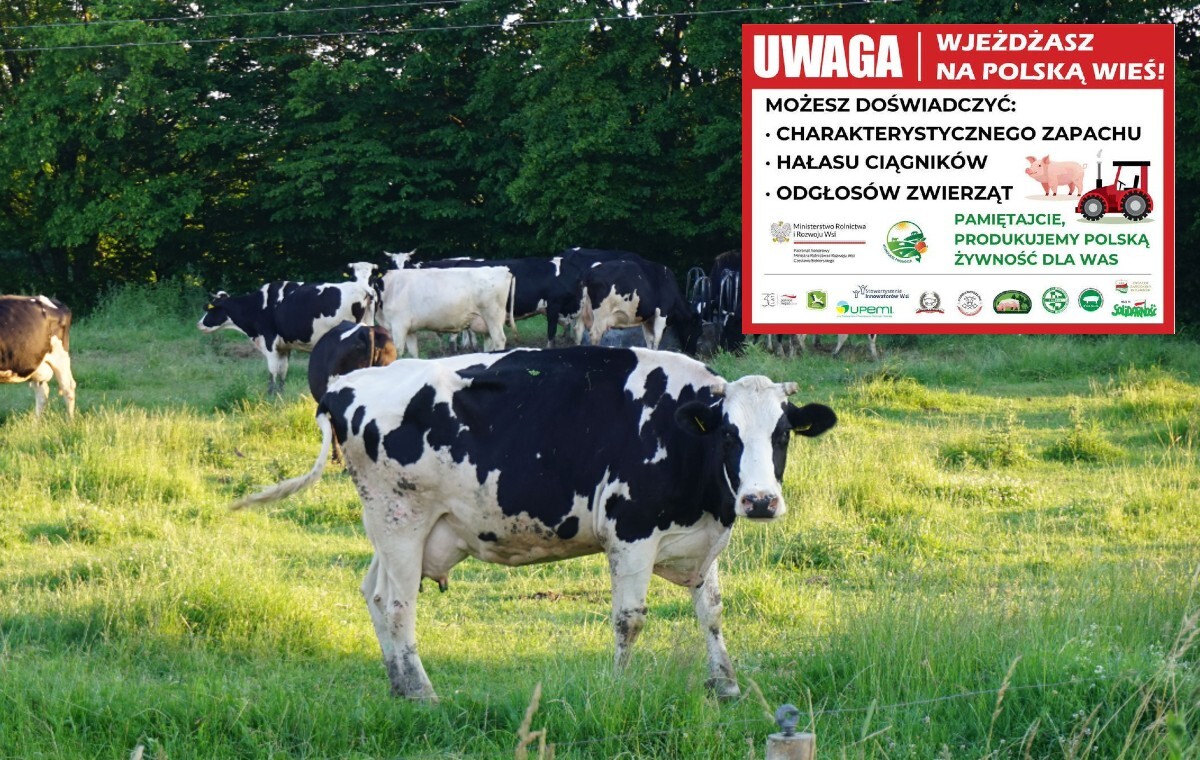 "Uwaga! Wjeżdżasz na polską wieś". Wymowne tablice!