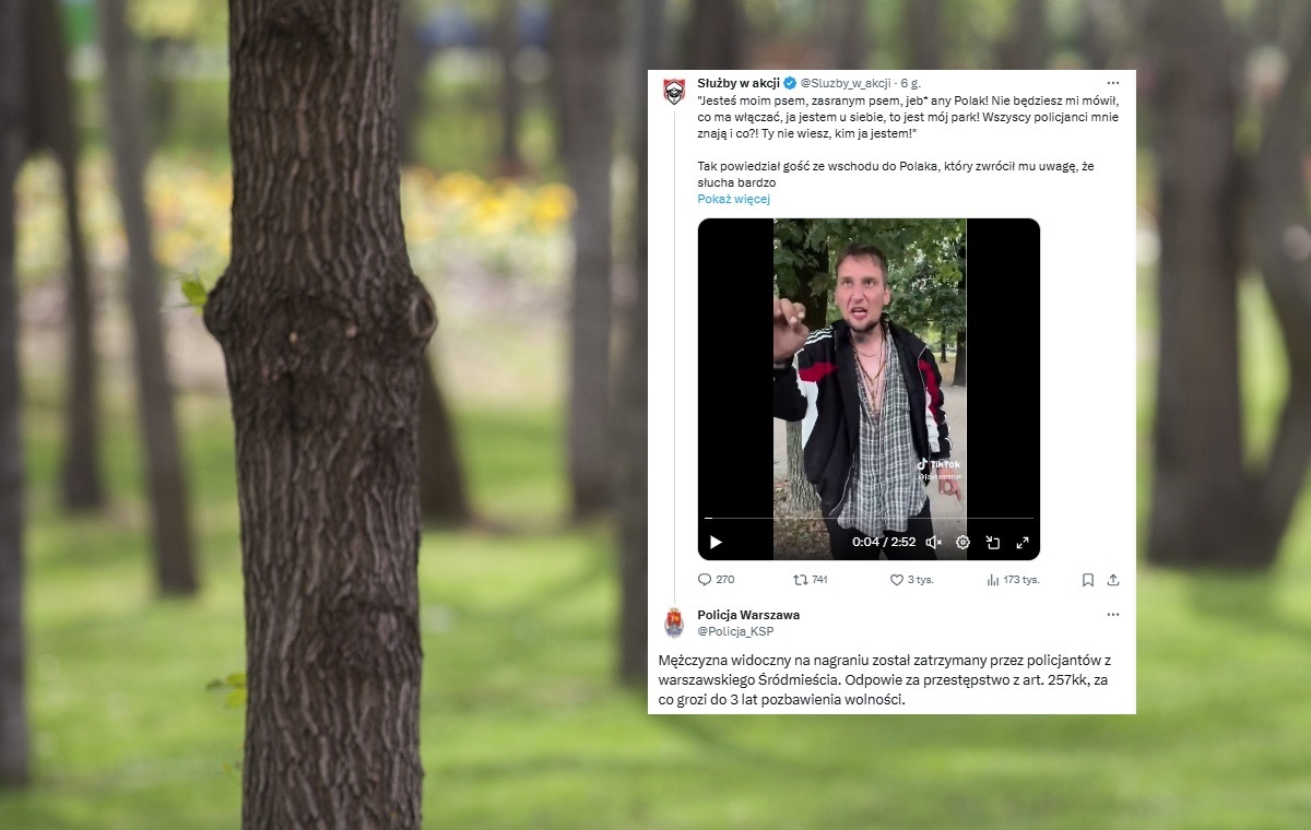 Cudzoziemiec wyzywał Polaka w parku. Zatrzymała go policja