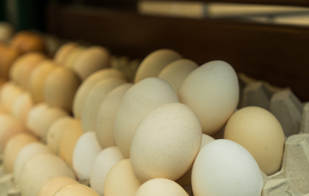 Ceny jajek biją kolejne rekordy