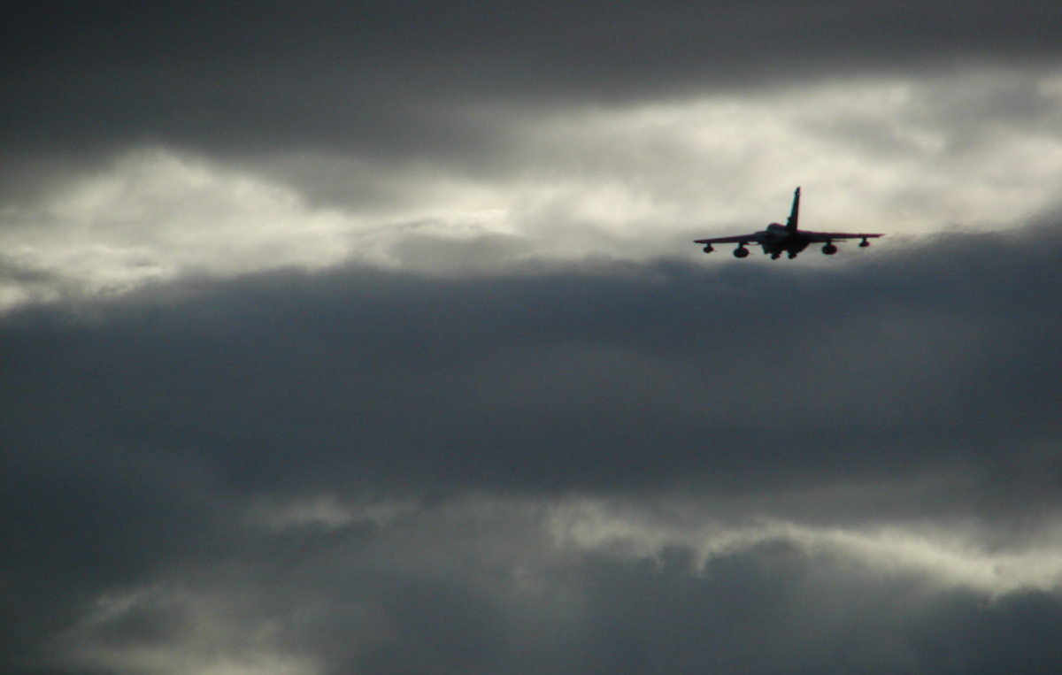Co eksportuje Polska? Znamy nasze największe hity!
