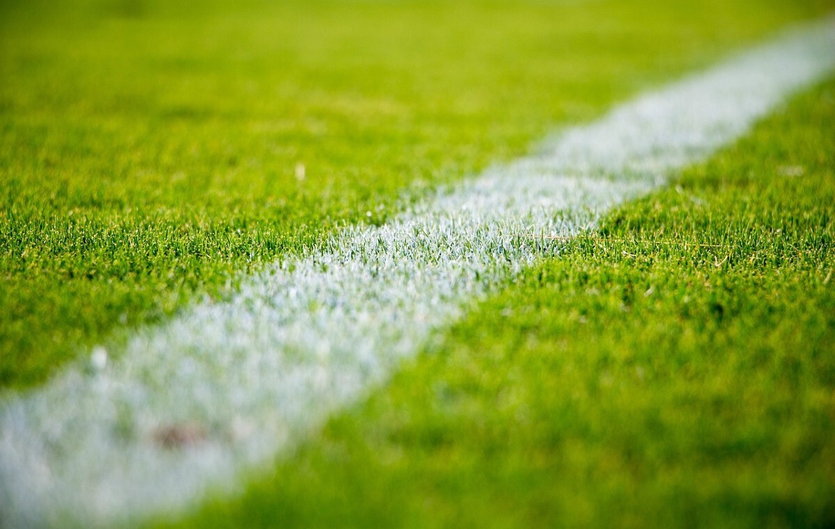 Transmisje meczów polskich drużyn. Ciekawa propozycja posłów wiadomości,aktualności,wPolityce.pl Transmisje meczów polskich drużyn. Ciekawa propozycja posłów