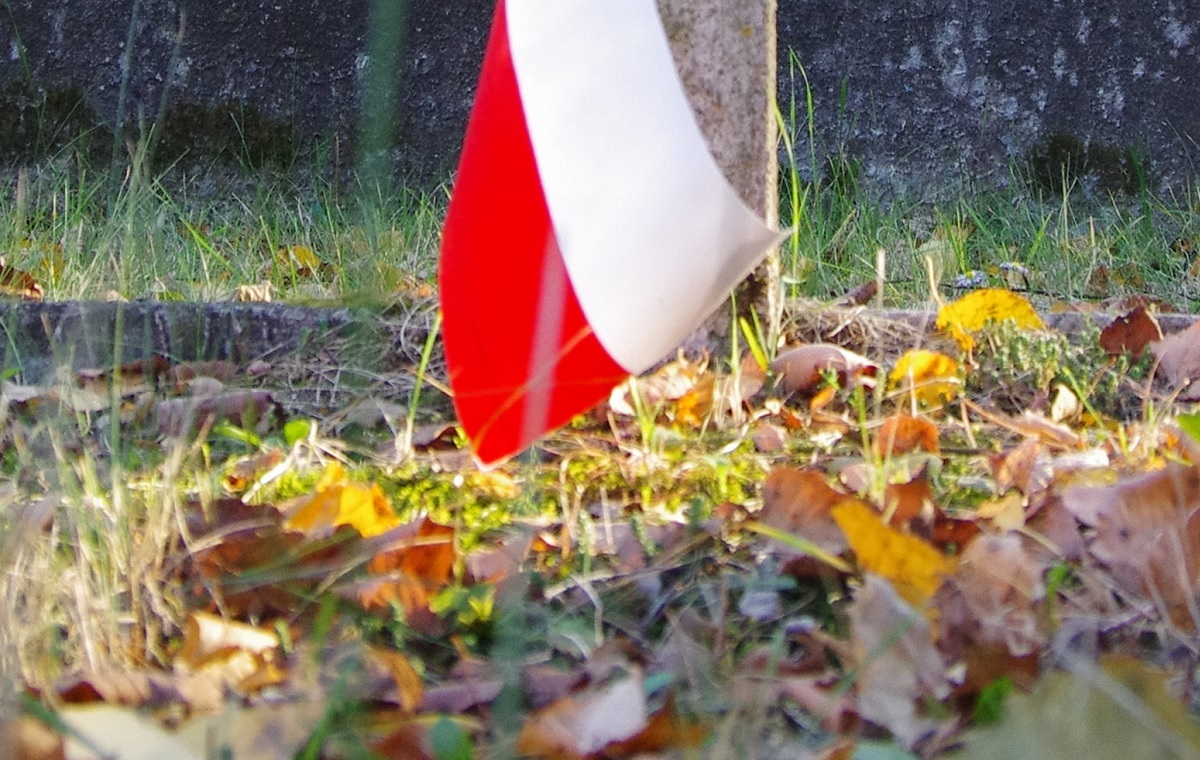 Z morderców Polaków zrobili bohaterów wiadomości,aktualności,wPolityce.pl Z morderców Polaków zrobili bohaterów