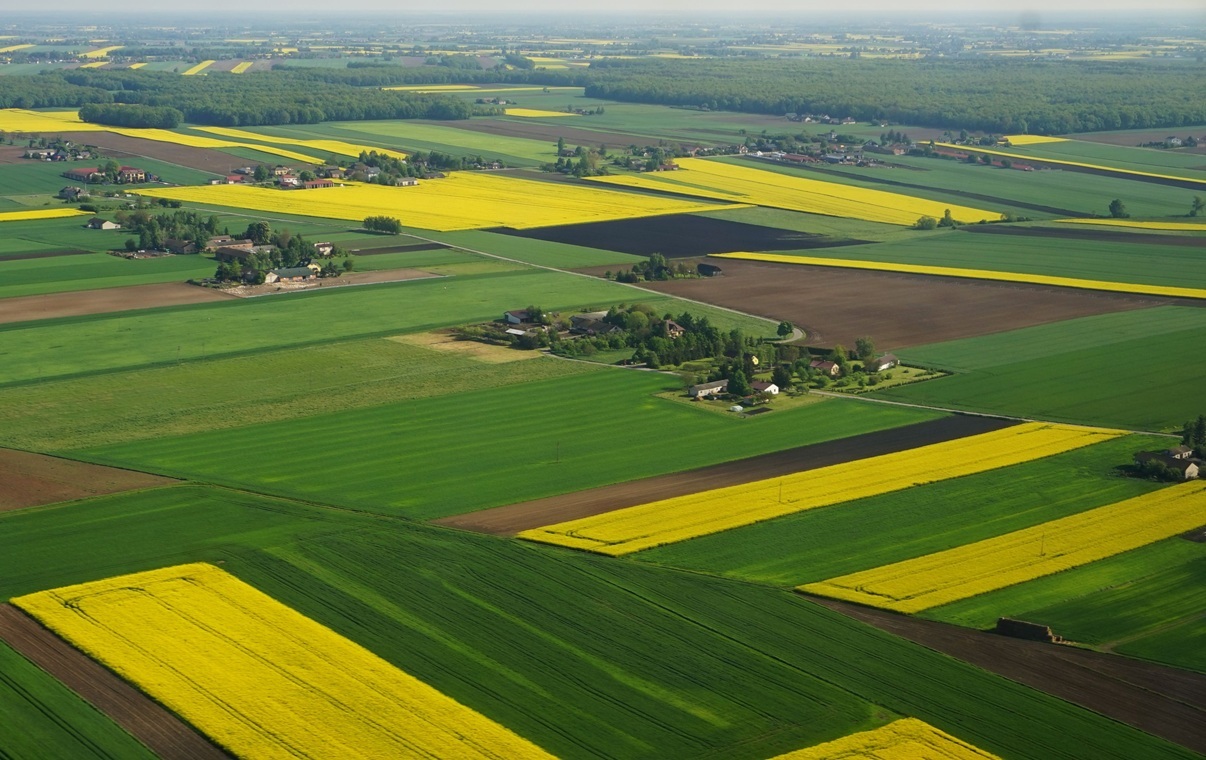 TYLKO U NAS. Rolnik: Rządzący pozwalają na ściąganie towaru