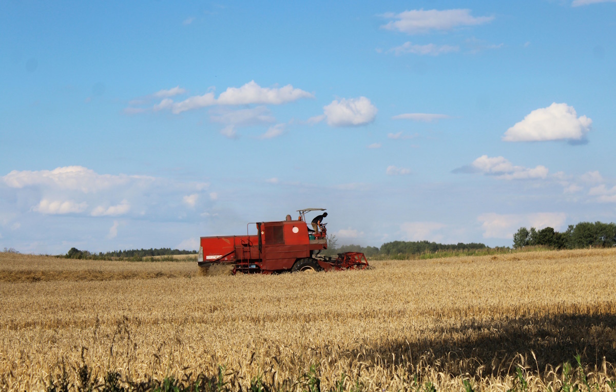 Do wwozu z państw Mercosur dojdzie ukraiński eksport rolny
