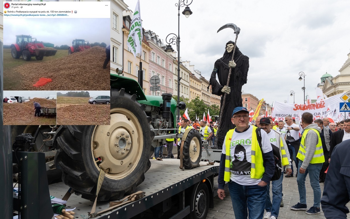 Kolejny dramat rolnika! Wysypał na pole 150 t ziemniaków wiadomości,aktualności,wPolityce.pl Kolejny dramat rolnika! Wysypał na pole 150 t ziemniaków