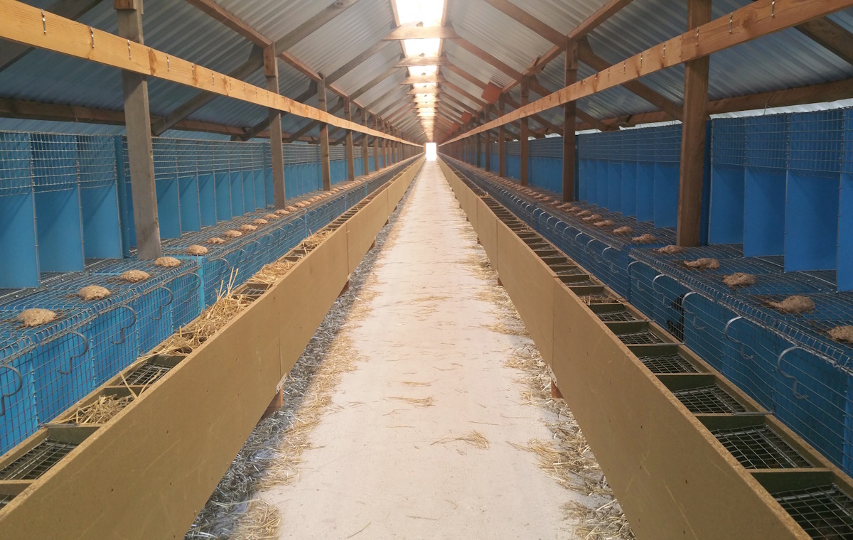 Zakaz ferm futrzarskich? Sejmowa komisja podjęła decyzję