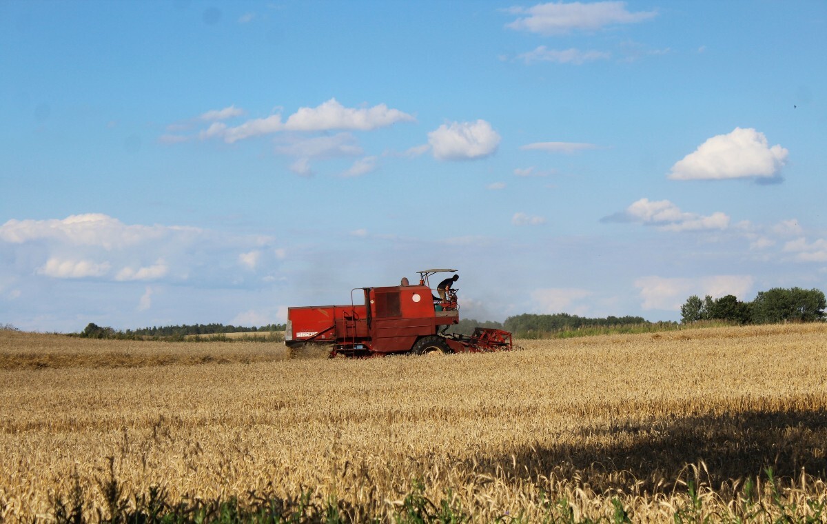 Na RUE polski rząd głosował za umową z Ukrainą