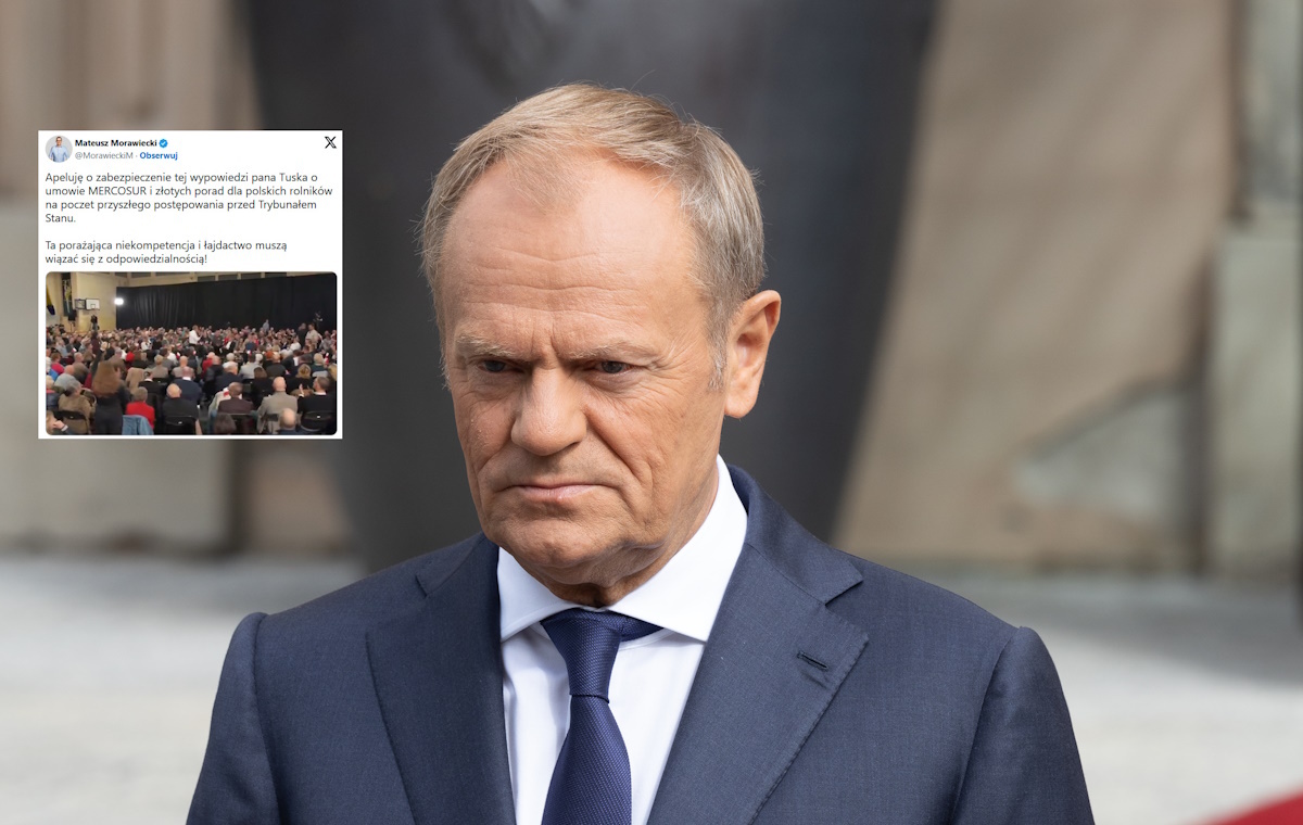 Tusk przed Trybunał Stanu? Morawiecki apeluje!
