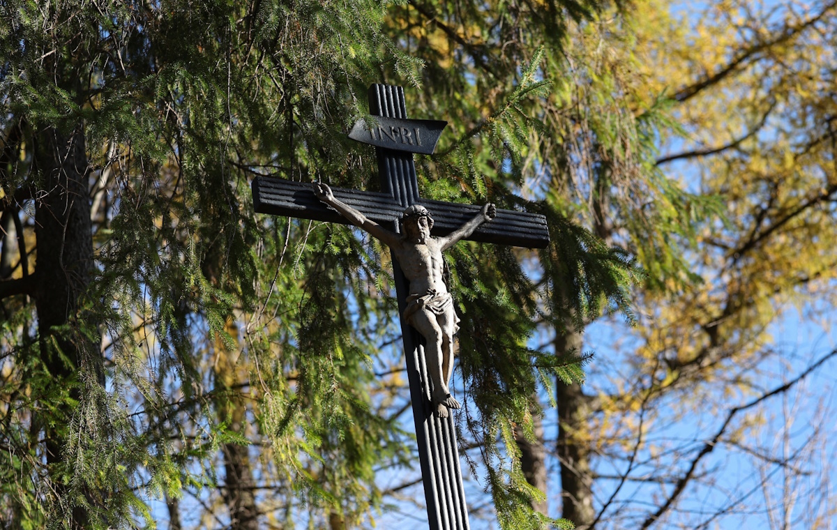 wiadomości,aktualności,wPolityce.pl Ks. Trzaska: Wierzymy, że część zmarłych jest w niebie