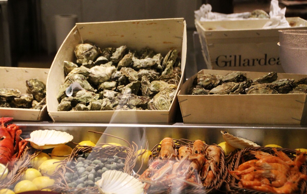 Rodzinny dramat w Stambule. Nie żyją turyści z Niemiec