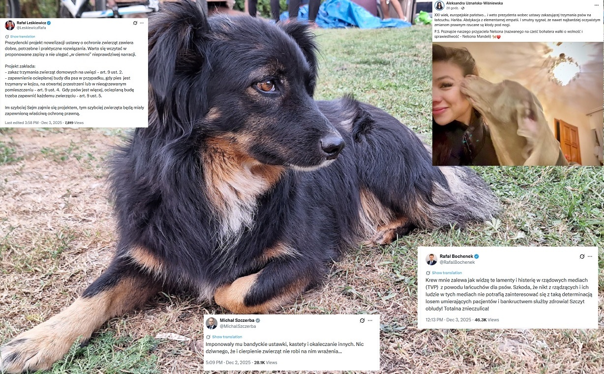 Закон о цепи. Истерия после вето и... Нельсон, собака