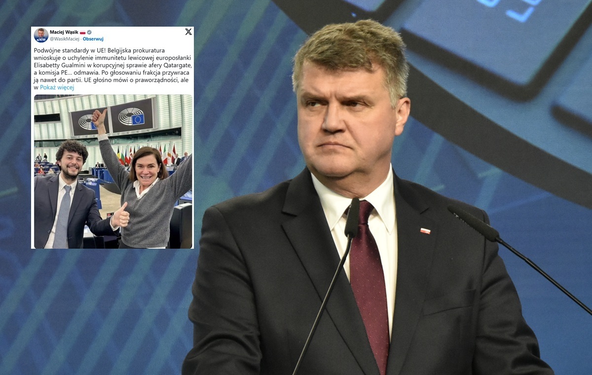 Васик: ЕС не имеет ничего общего с верховенством закона