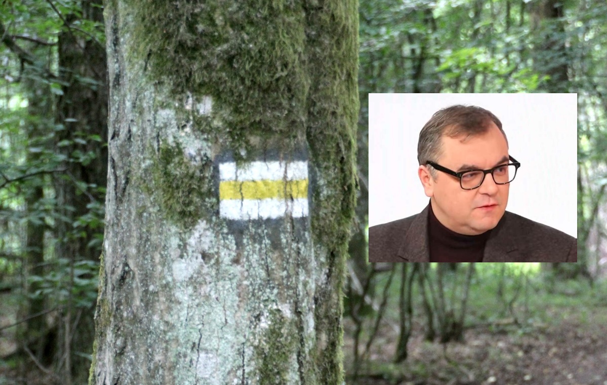 Sałek: "To jest dobicie przyrodnicze tego terenu"