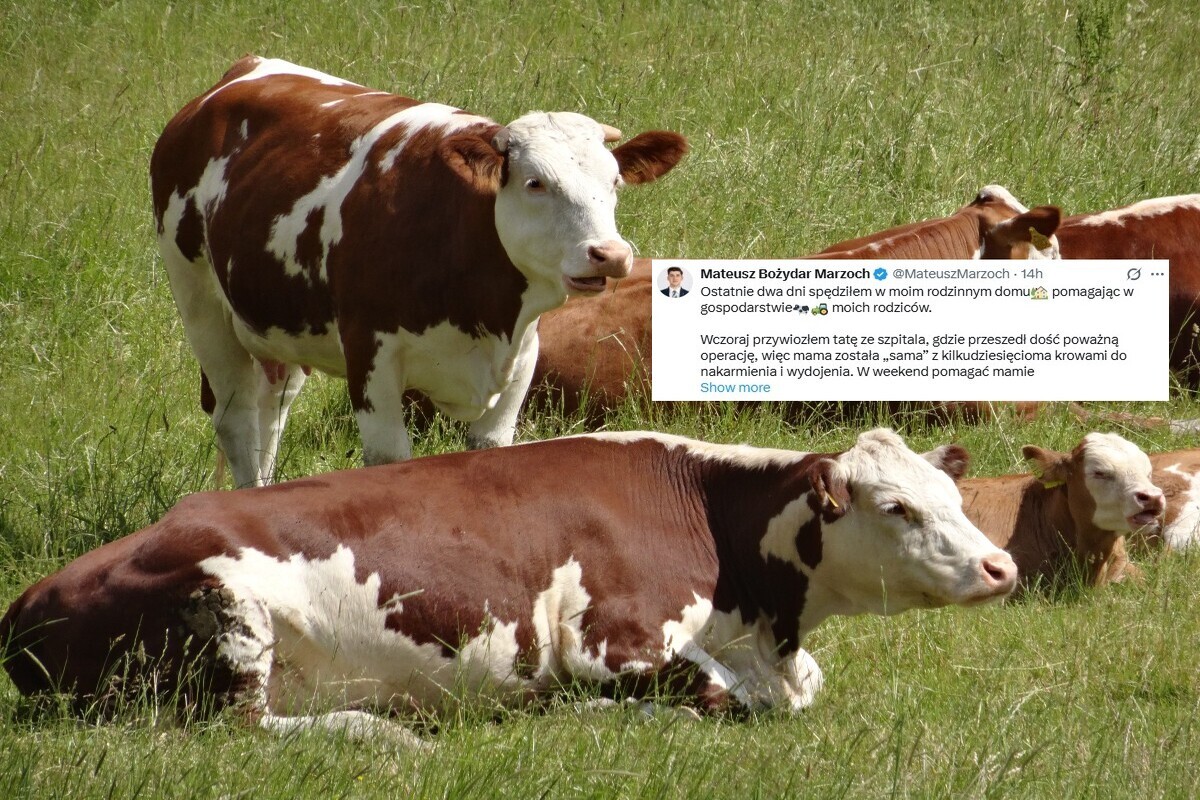 To trzeba zobaczyć! Odpowiedział na ataki na rolników