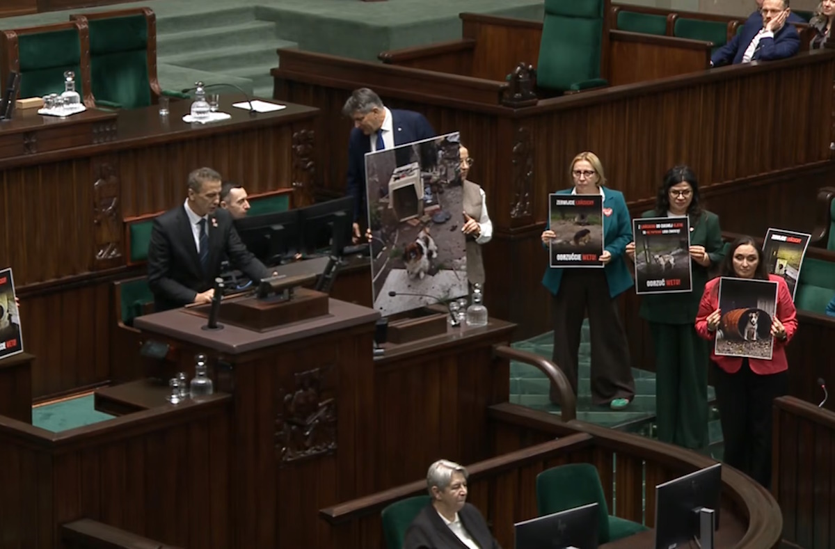 Cyrk w Sejmie! Tak zachowały się posłanki!