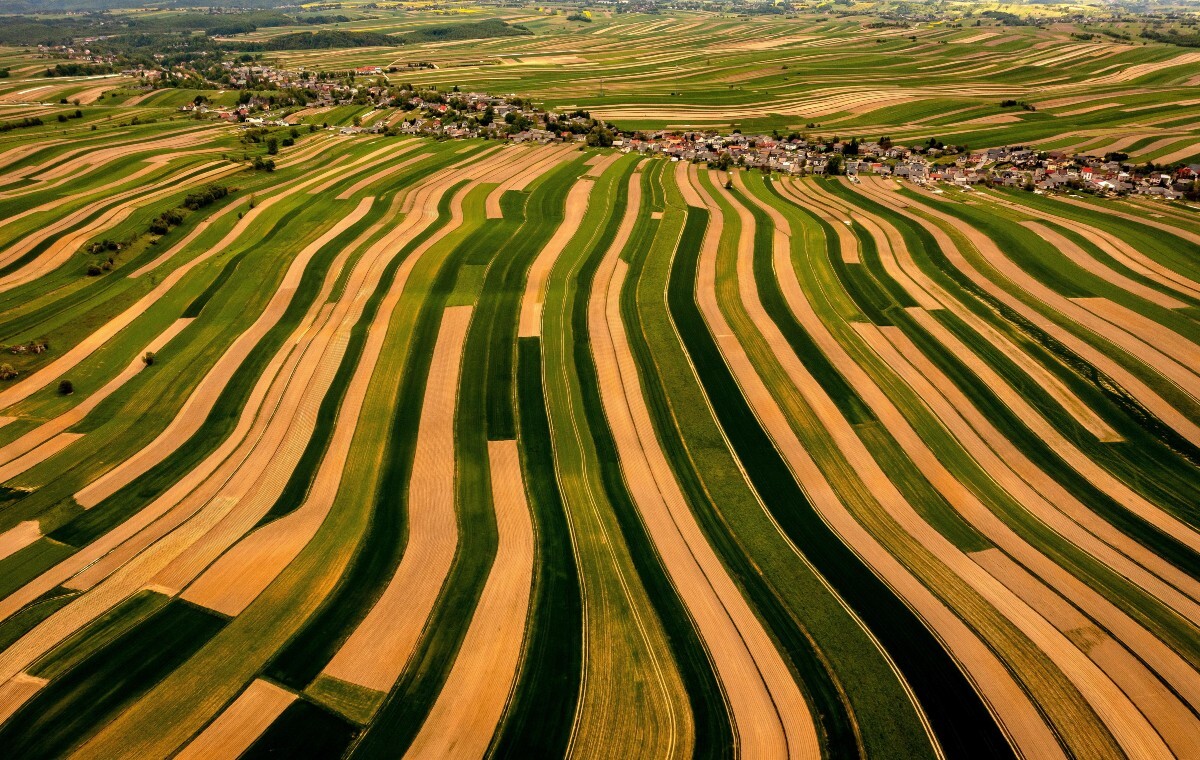 TYLKO U NAS. Ardanowski: Polska mogła zablokować Mercosur