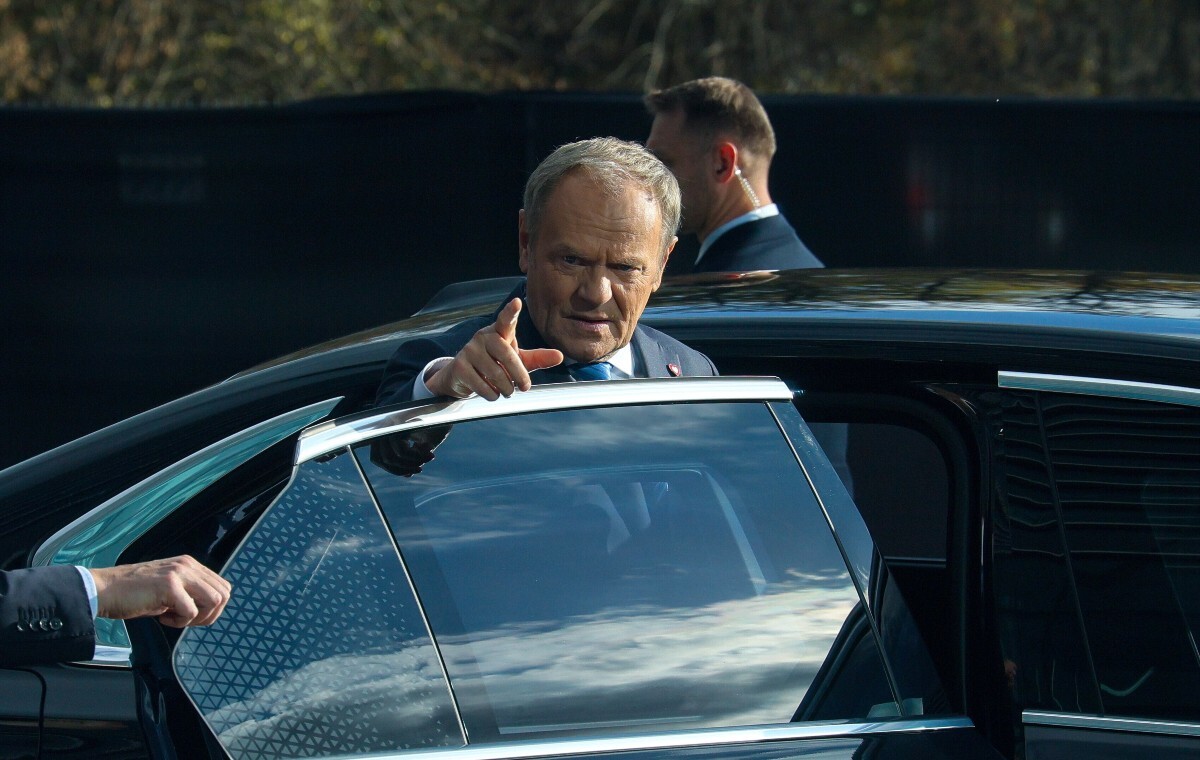 Zwierzęta to pretekst, Tusk chce pokazać, iż jest dobry