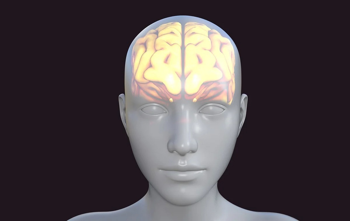 Polscy naukowcy rozwijają AI, która pomoże wykrywać tętniaka