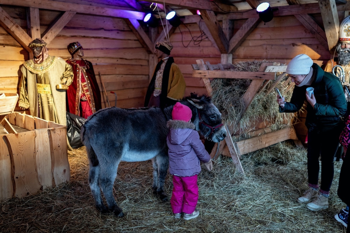 wiadomości,aktualności,wPolityce.pl Krakowska żywa szopka u franciszkanów przyciąga tłumy gości
