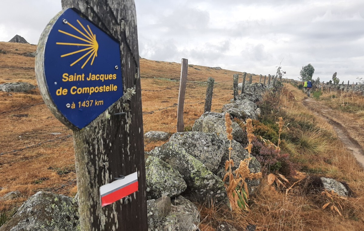 wiadomości,aktualności,wPolityce.pl Szlak św. Jakuba bije rekordy popularności