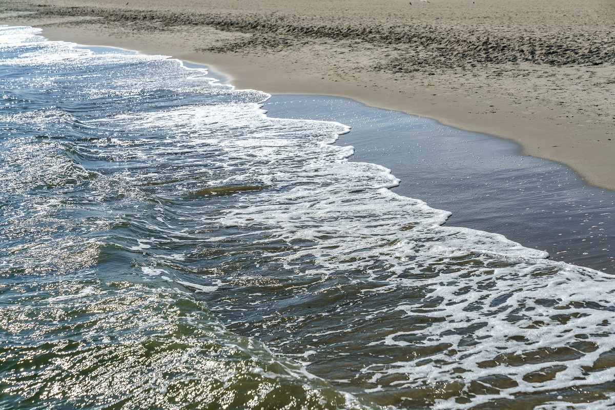 TYLKO U NAS Port Haller w programie PiS. Gróbarczyk wyjaśnia