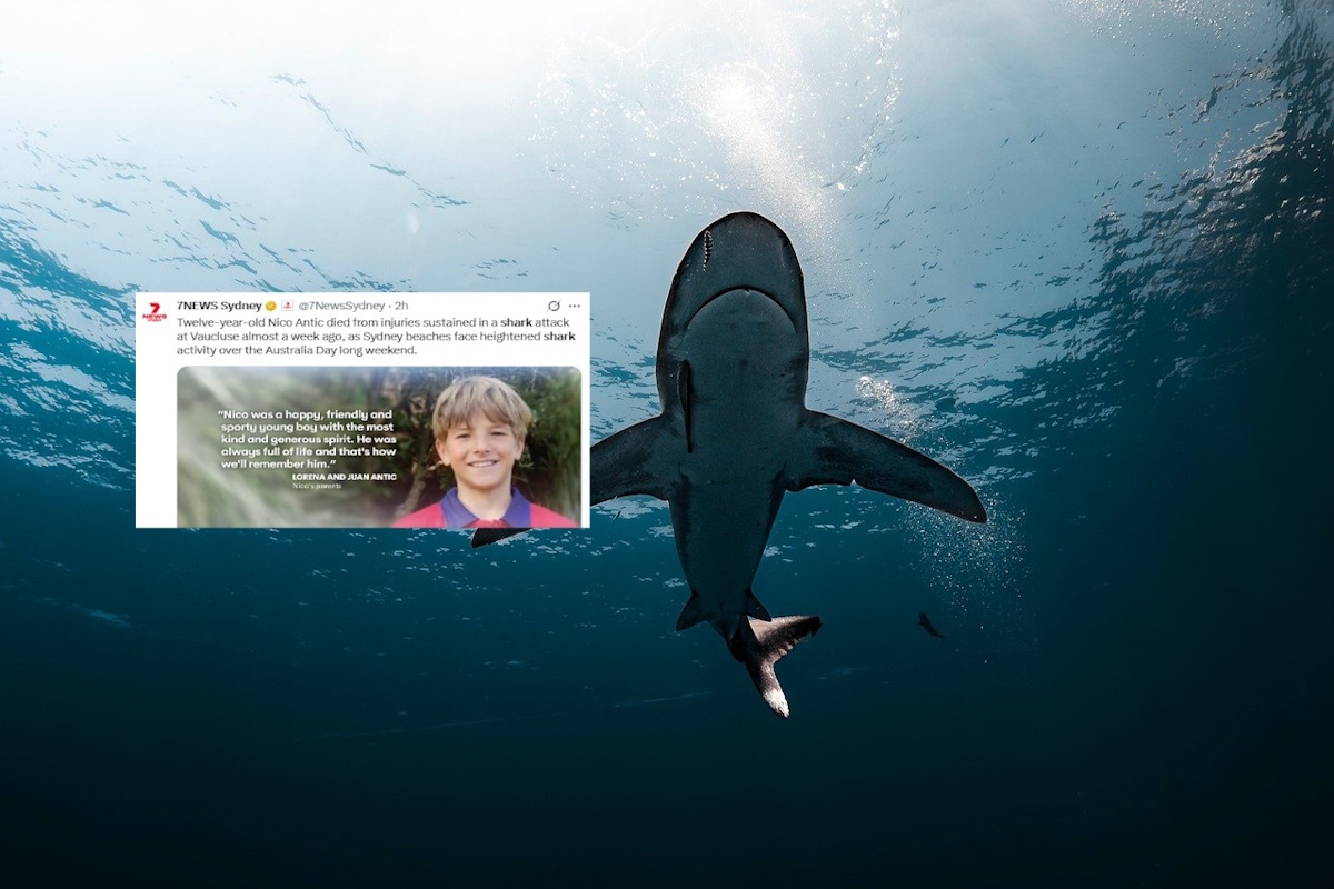 Tragedia w Sydney. Zmarł 12-latek zaatakowany przez rekina