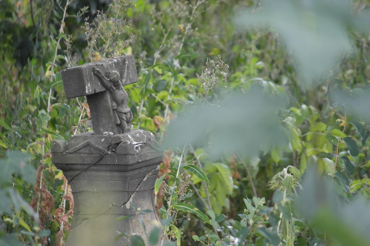 wiadomości,aktualności,wPolityce.pl IPN ponowi 24 wnioski o ekshumacje na Ukrainie! Ponad 60 miejsc