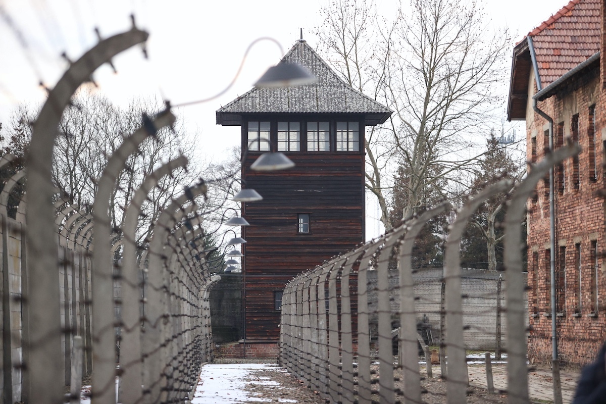 wiadomości,aktualności,wPolityce.pl „Niemcy ludziom zgotowali ten los...”