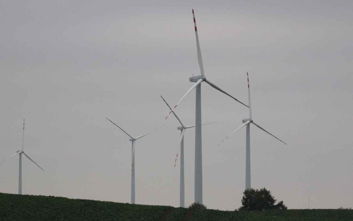 Ból głowy od wiatraków? Przełomowy wyrok francuskiego sądu!