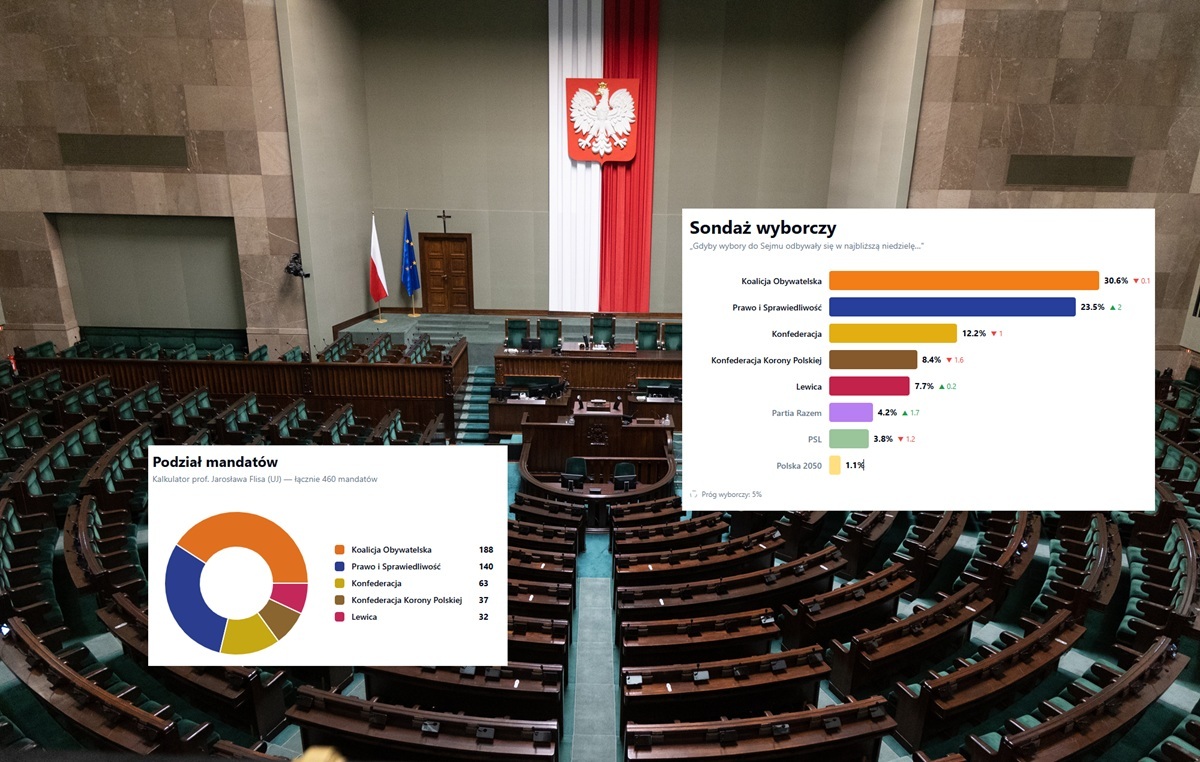 Nowy SONDAŻ partyjny. Patola i Socjal zmniejsza stratę do KO