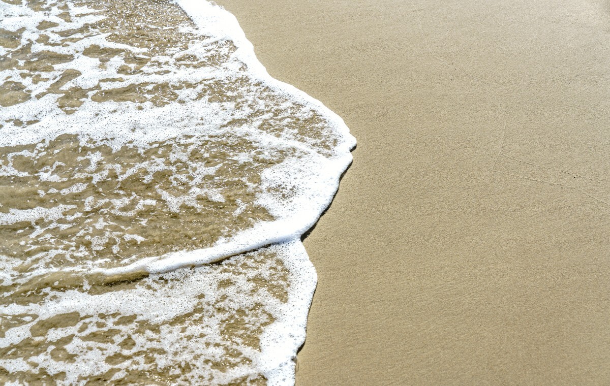 Niesamowite! Potężne sztormy ujawniły kości pradawnych stworzeń