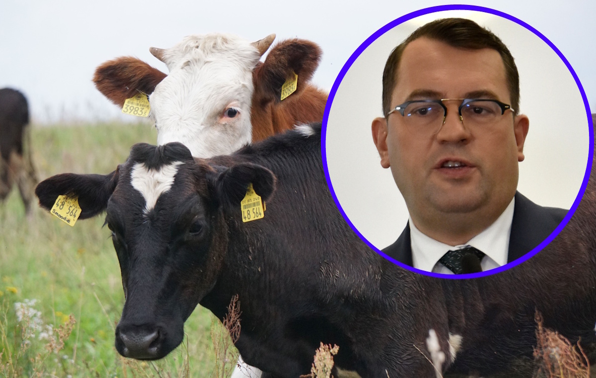 Po pladze Mercosur umowa UE-Australia. Co obiecuje Krajewski?