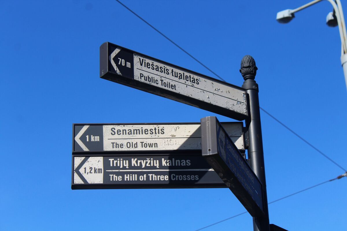 Panaceum na migrację? Mer Wilna wyszedł z przełomowym pomysłem