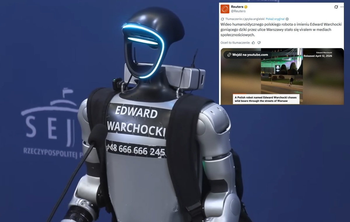 Polski robot zagonił dziki do lasu i... zrobił furorę na świecie