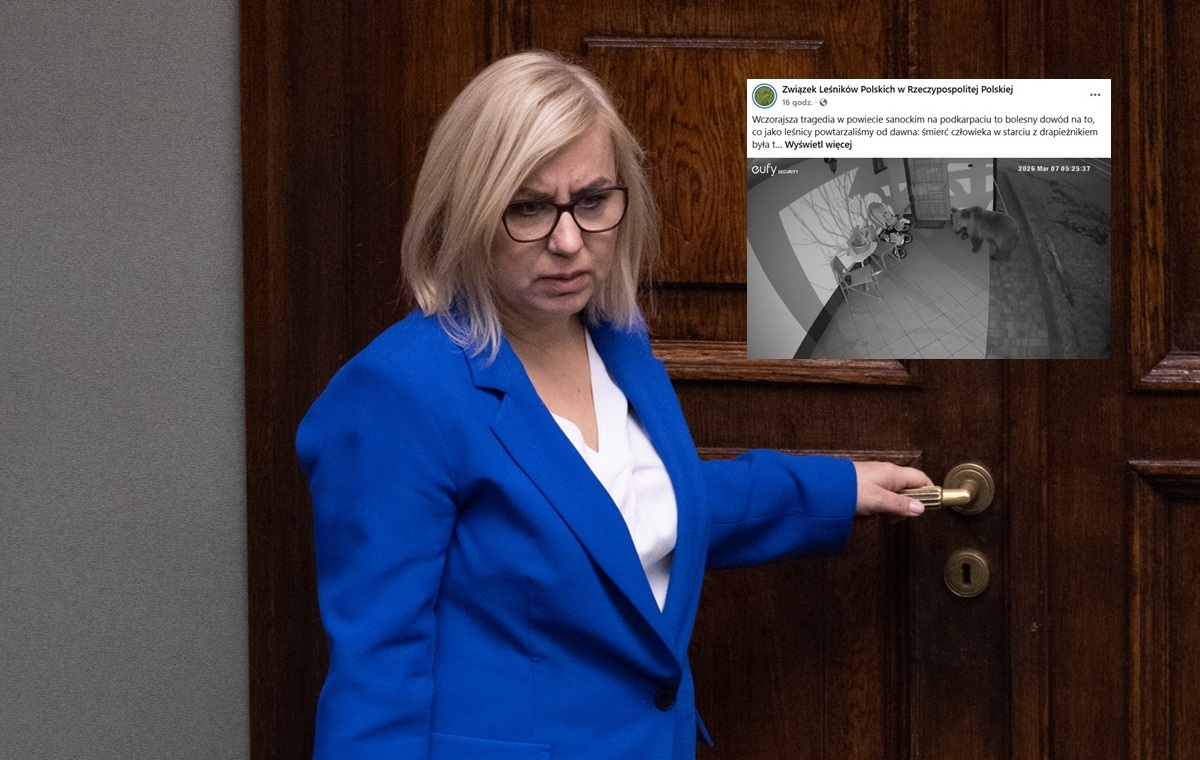 Kobietę zabił niedźwiedź. Leśnicy wskazują na winę MKiŚ