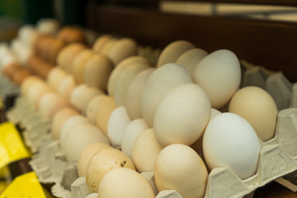 Producenci drobiu alarmują: Rośnie import jaj do Polski!