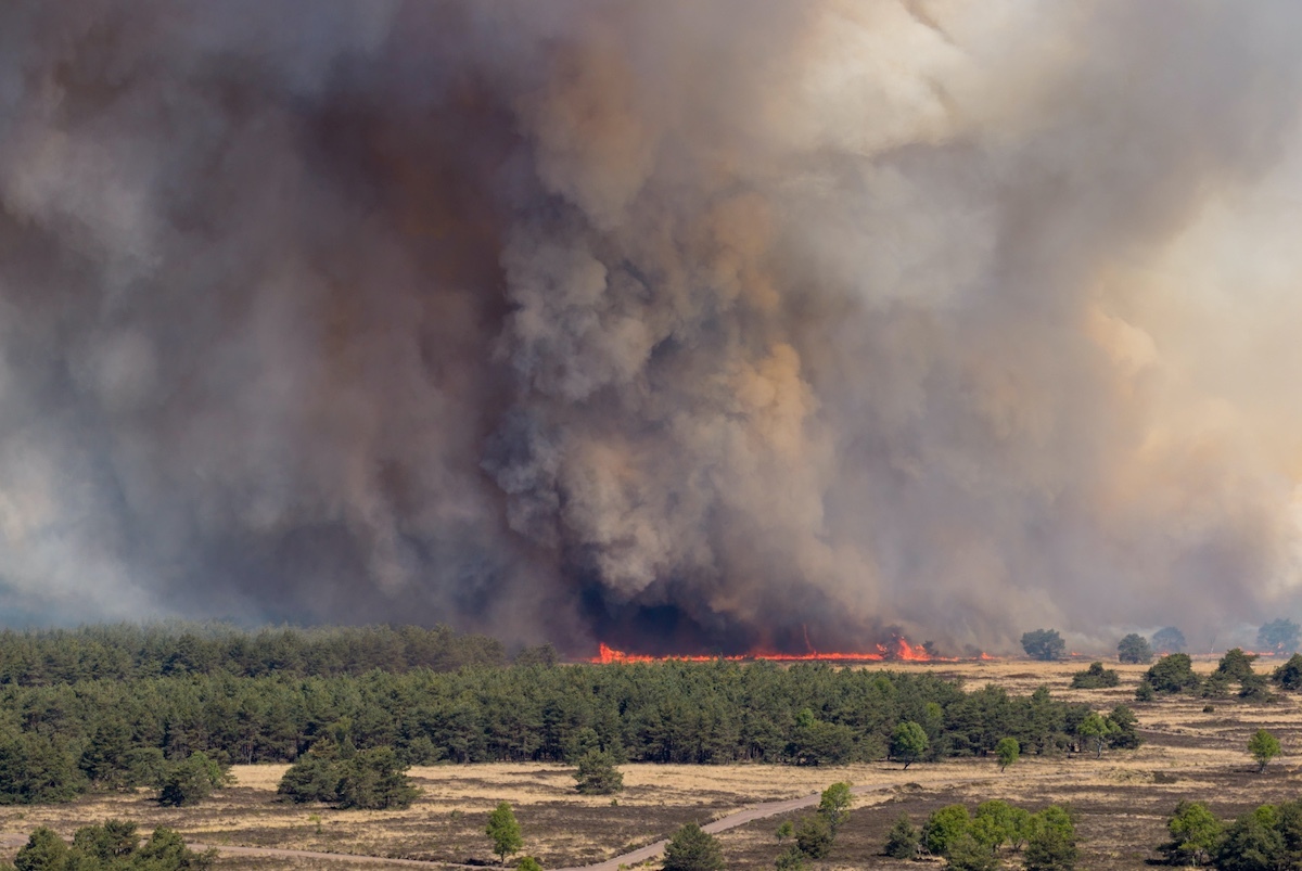 Pożar na poligonie wojskowym w Holandii!