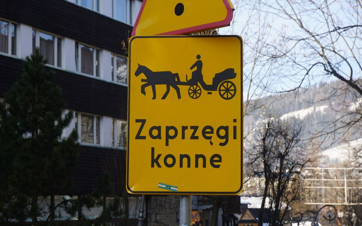 Busy zamiast koni? Kloska odtrąbiła sukces, przewoźnicy się boją