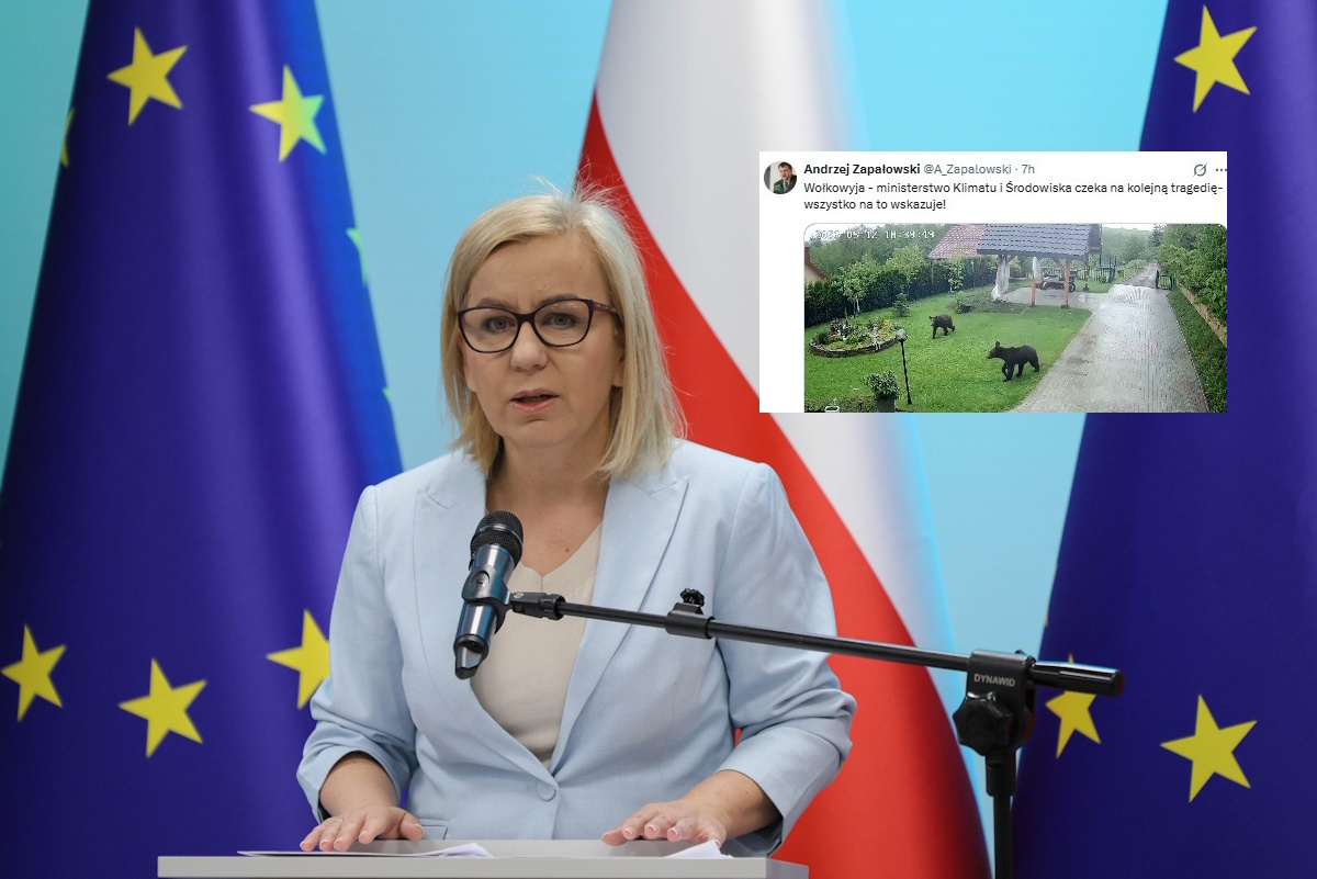 Niedźwiedzie panoszą się na Podkarpaciu! Poseł uderzył w MKiŚ