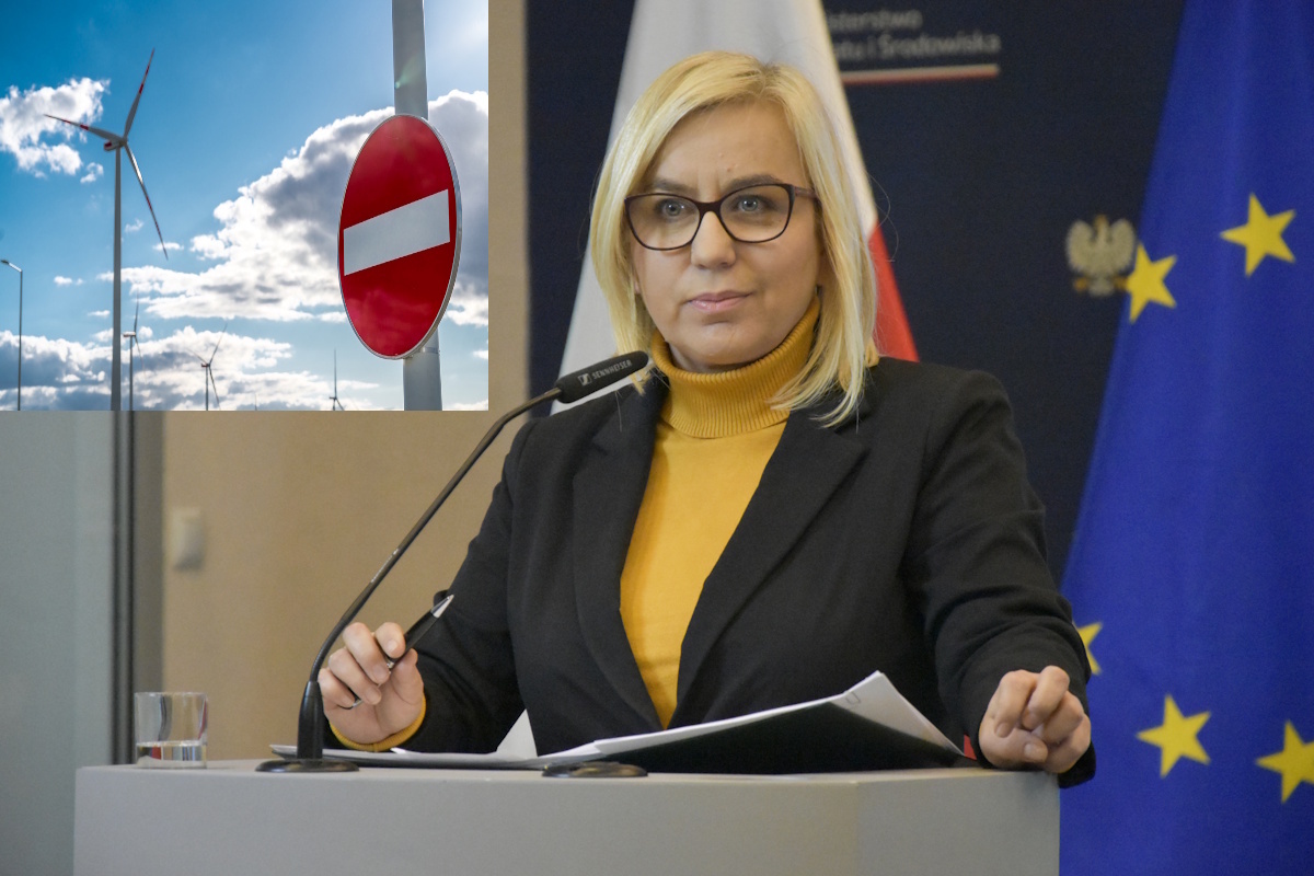 Energia z OZE. Polacy nie wierzą w "cudowne" efekty! SONDAŻ