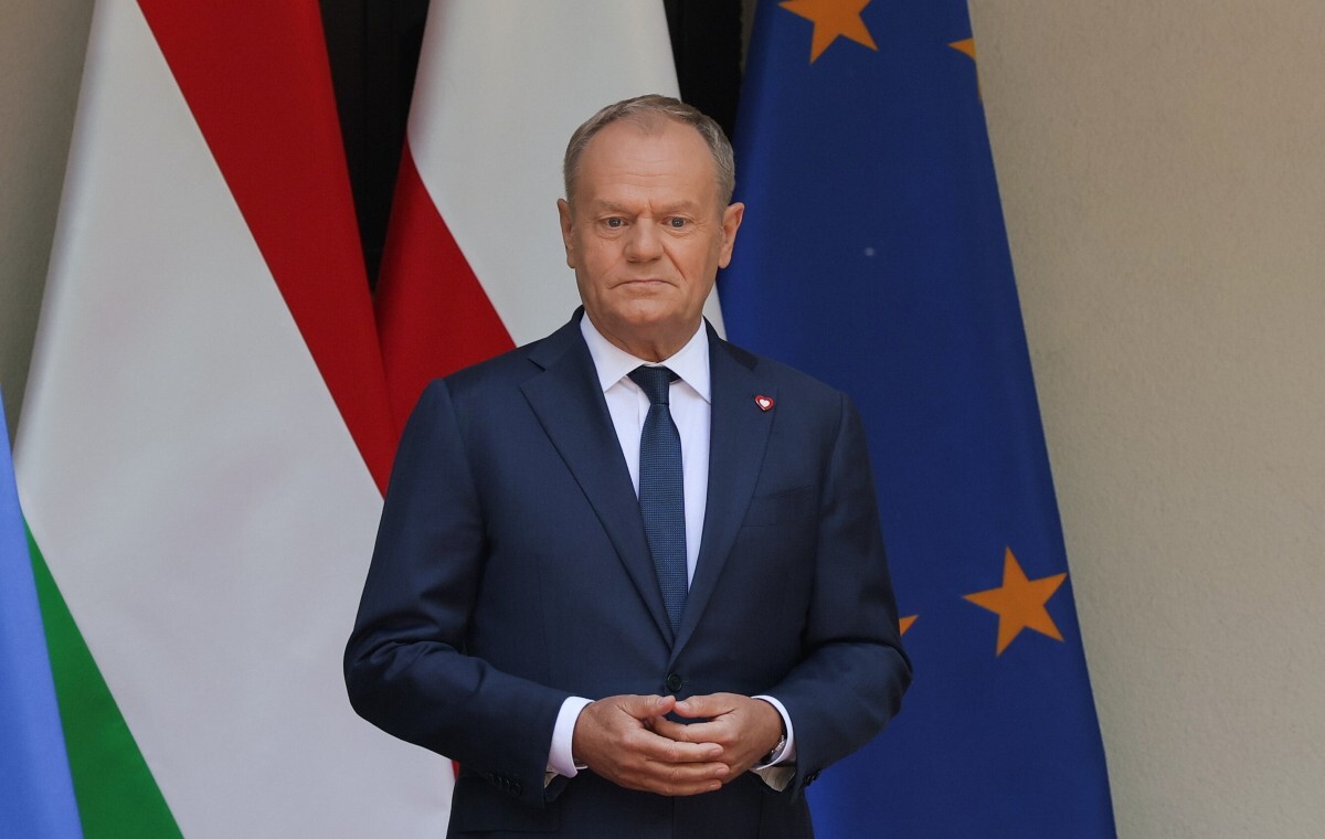Twierdzili, iż SAFE będzie dostępny w kilka godzin