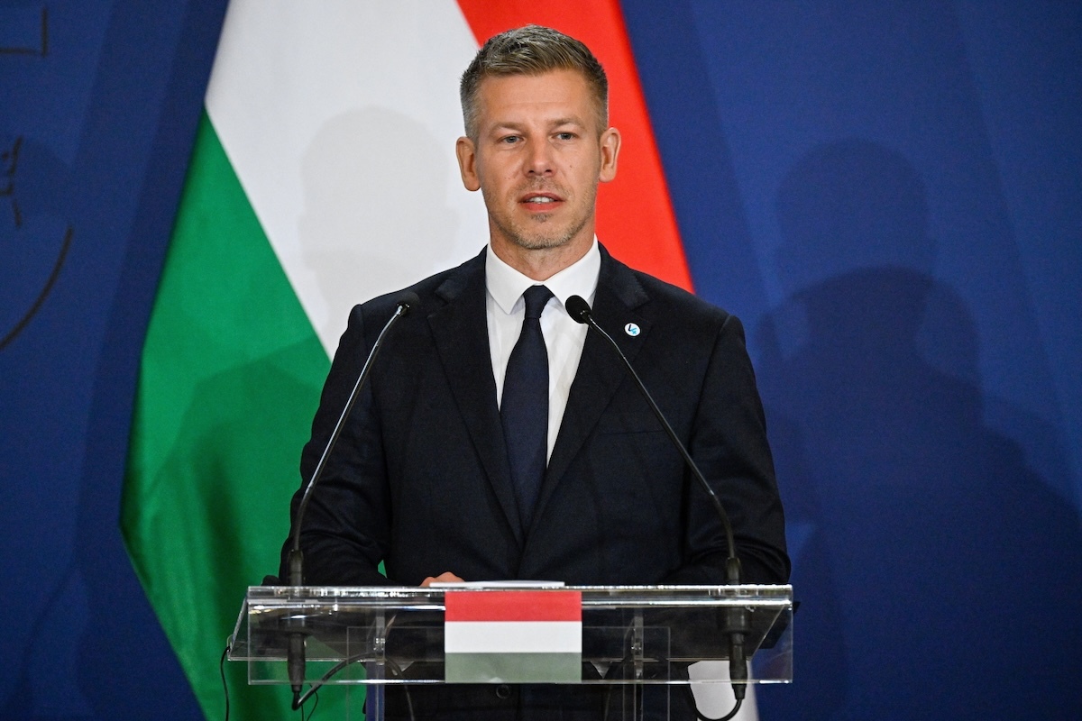 Węgierskie organizacje krytykują pomysł Magyara