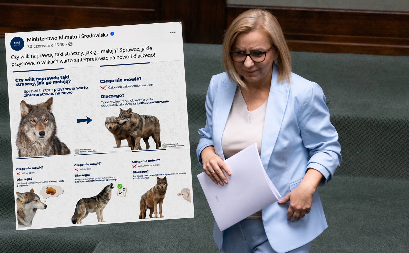"Poważne" problemy MKiŚ. Walczą z... przysłowiami o wilkach