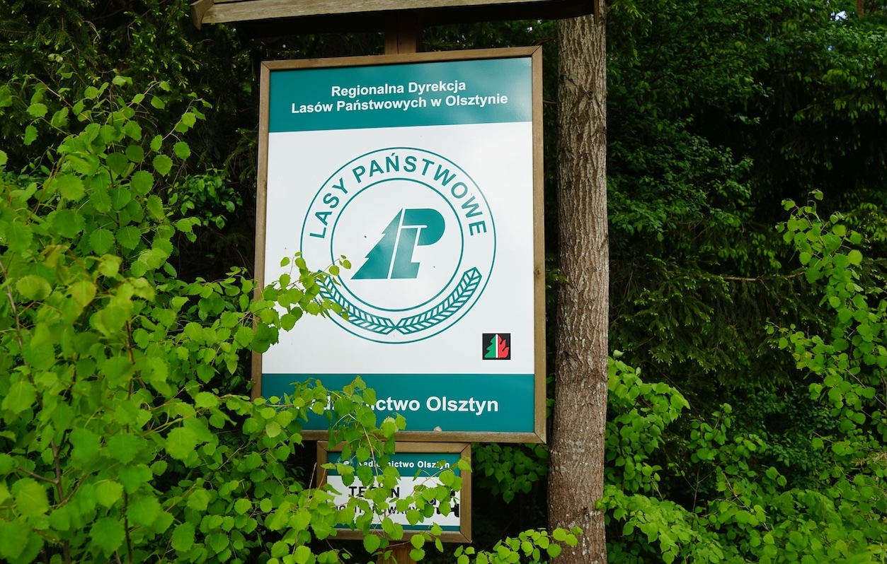 Działania resortu klimatu przyniosą paraliż gospodarki leśnej