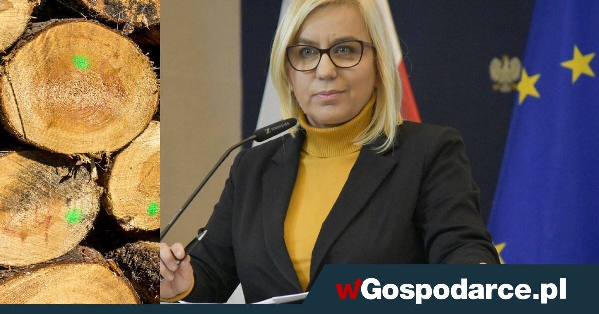 Hennig-Kloski&#39;s Plan: Cooling the Timber manufacture  in Installments