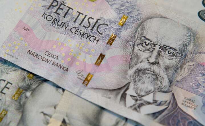 Czeskie władze monetarne mają twardy orzech do zgryzienia / autor: Pixabay