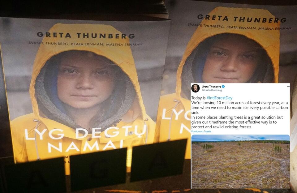 Greta Thunberg / autor: fratria