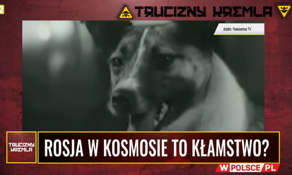 Łajka, pierwszy psi kosmonauta / autor: wPolsce.pl